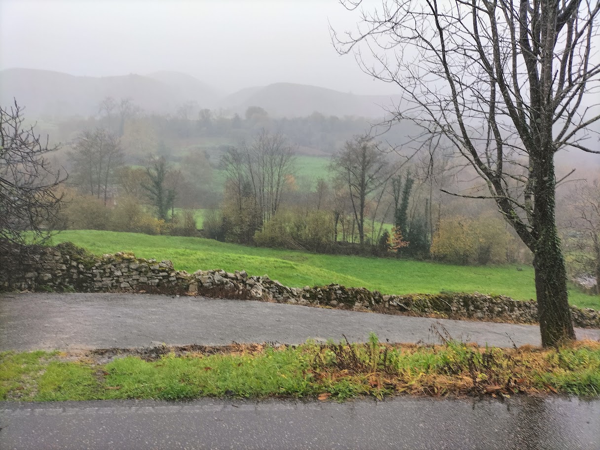 Lee más sobre el artículo Conducir en otoño por Asturias