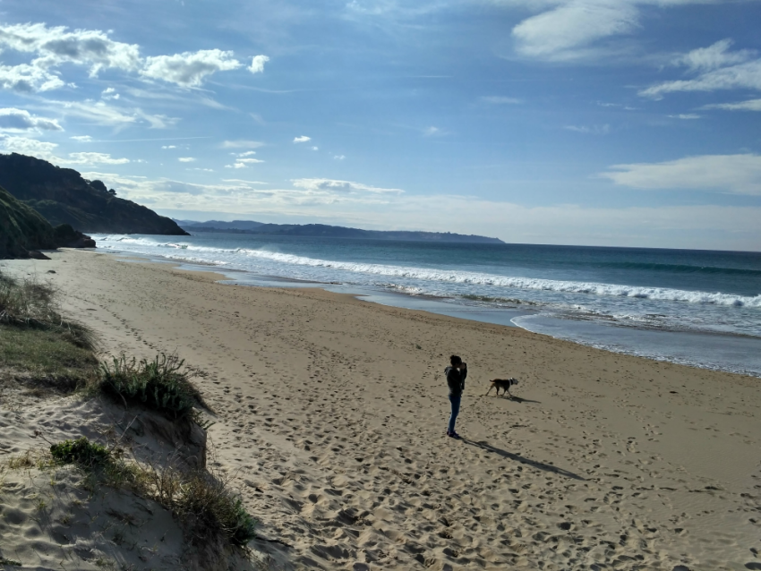 Lee más sobre el artículo Playa de Vega, Ribadesella.