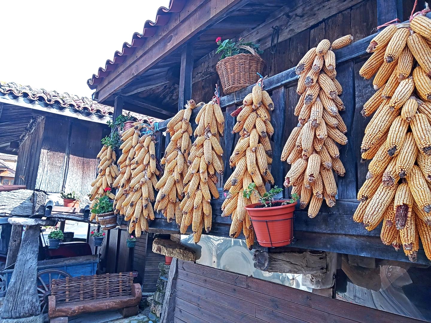 Lee más sobre el artículo Hórreos de Asturias