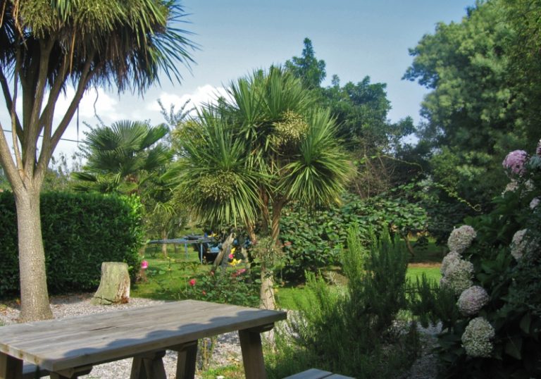 jardin casa rural correntiu 768x538