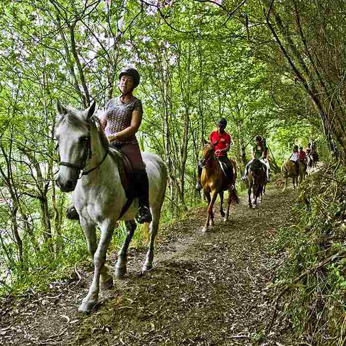 ruta caballo ribadesella
